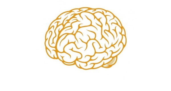 Мозг