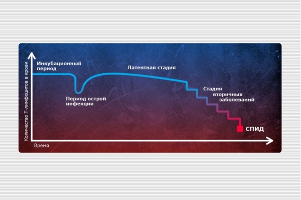 Графическое изображение стадий ВИЧ