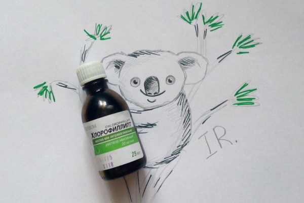 Хлорофиллипт